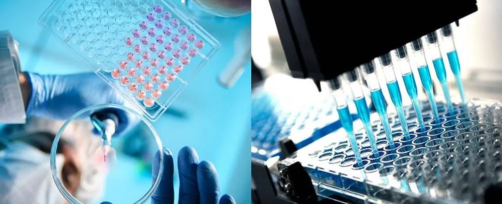 96 wells PCR plate application